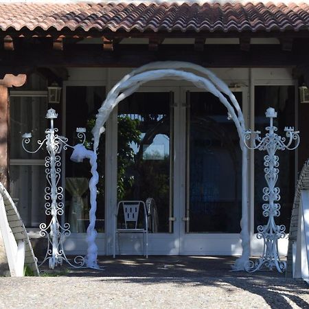 Hotel Las Casitas Del Jardin Tudela de Duero المظهر الخارجي الصورة